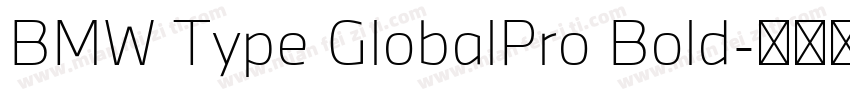 BMW Type GlobalPro Bold字体转换